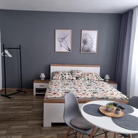 Apartman Ursula Jáchymov Exterior foto